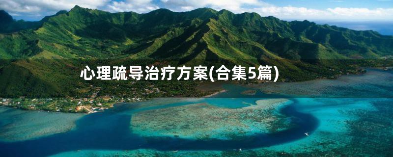 心理疏导治疗方案(合集5篇)
