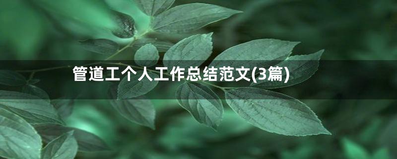 管道工个人工作总结范文(3篇)