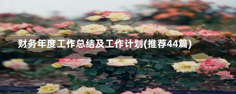 财务年度工作总结及工作计划(推荐44篇)
