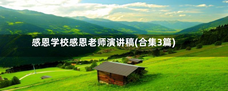 感恩学校感恩老师演讲稿(合集3篇)