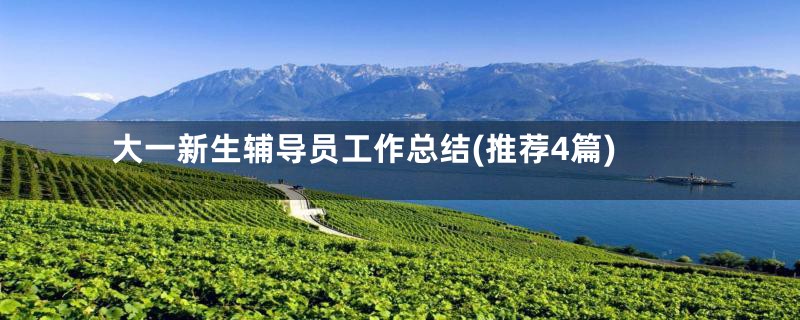 大一新生辅导员工作总结(推荐4篇)