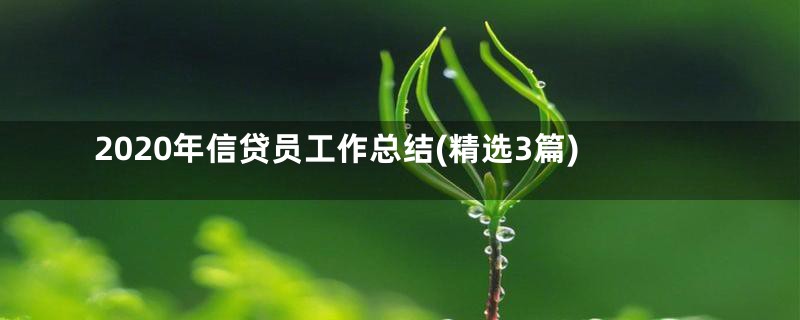 2020年信贷员工作总结(精选3篇)