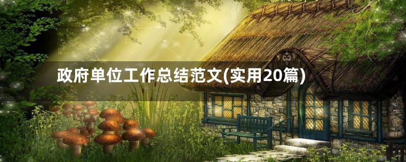 政府单位工作总结范文(实用20篇)