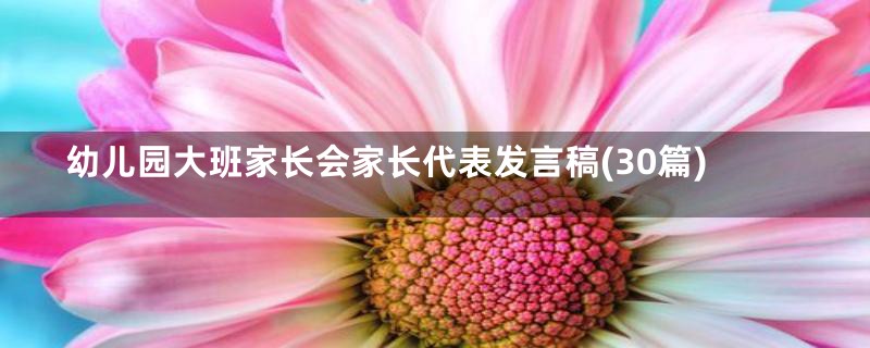 幼儿园大班家长会家长代表发言稿(30篇)