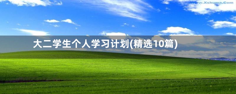 大二学生个人学习计划(精选10篇)