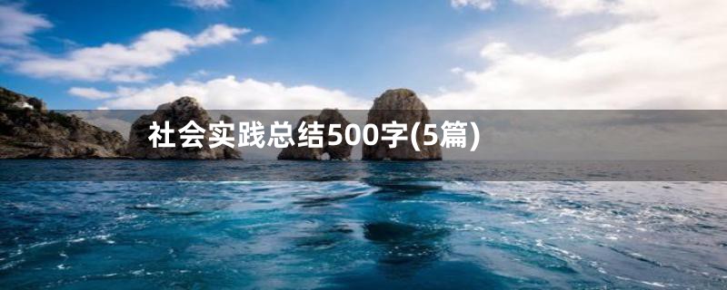 社会实践总结500字(5篇)