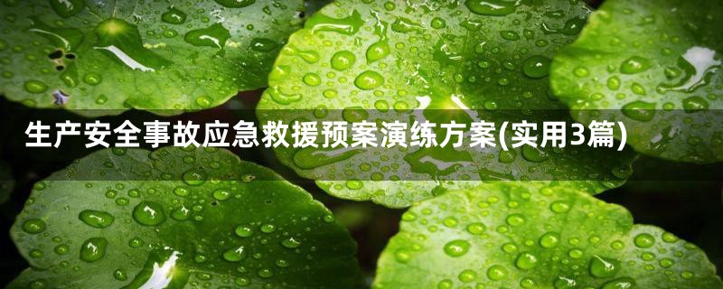 生产安全事故应急救援预案演练方案(实用3篇)