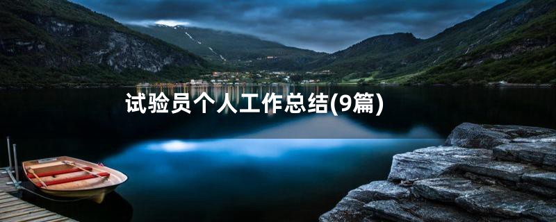 试验员个人工作总结(9篇)