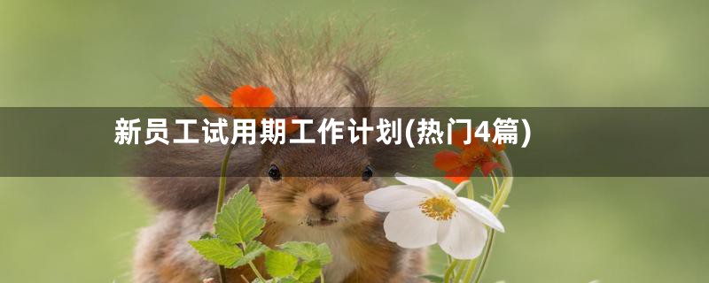 新员工试用期工作计划(热门4篇)