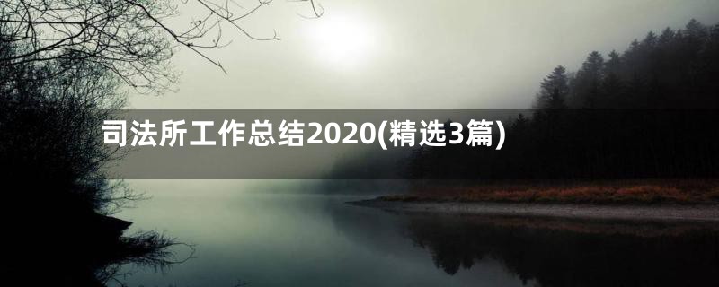 司法所工作总结2020(精选3篇)