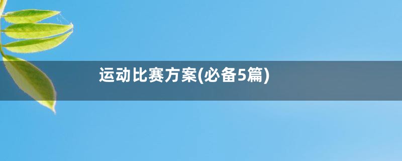 运动比赛方案(必备5篇)