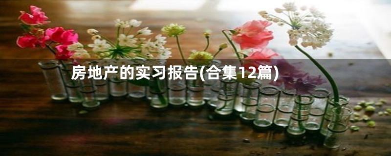 房地产的实习报告(合集12篇)
