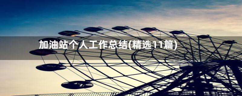 加油站个人工作总结(精选11篇)
