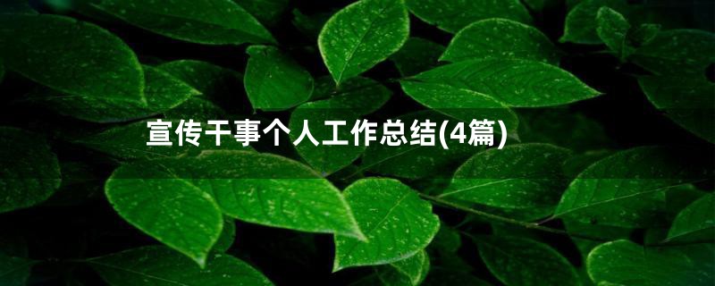 宣传干事个人工作总结(4篇)