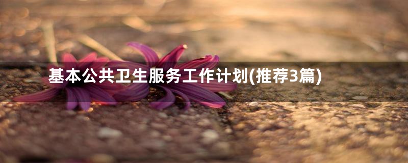 基本公共卫生服务工作计划(推荐3篇)