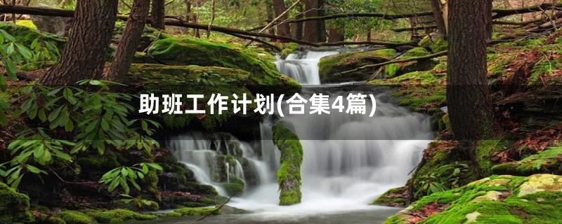 助班工作计划(合集4篇)