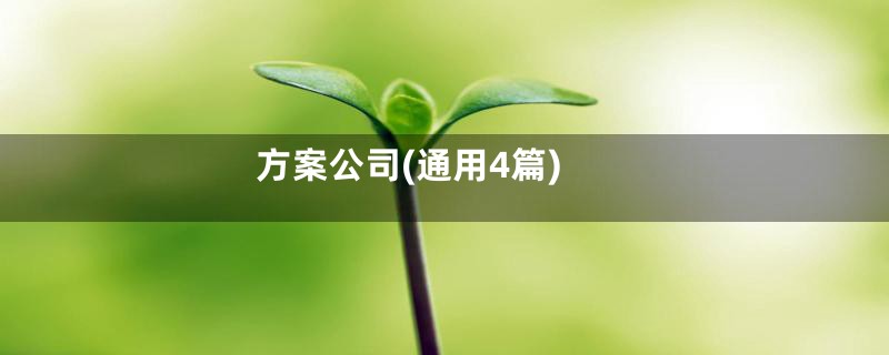 方案公司(通用4篇)