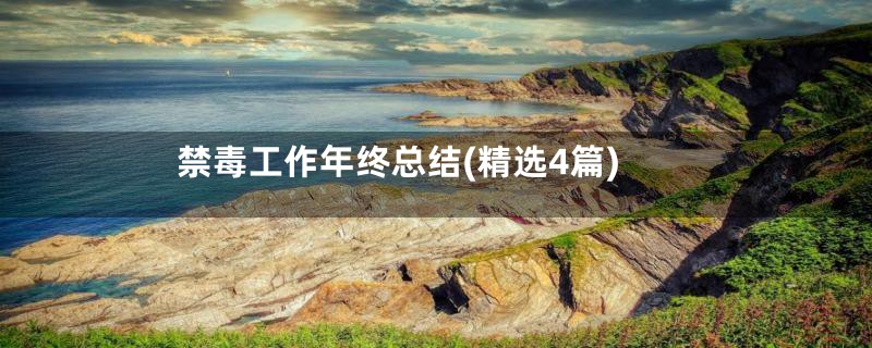禁毒工作年终总结(精选4篇)