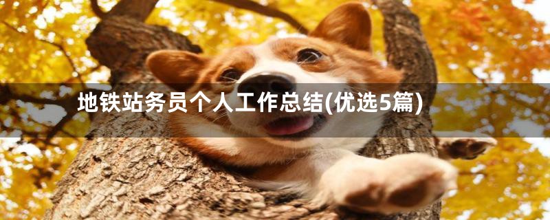 地铁站务员个人工作总结(优选5篇)