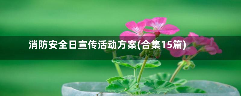 消防安全日宣传活动方案(合集15篇)