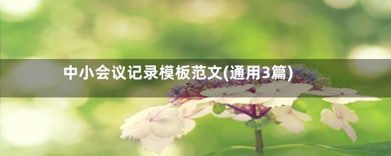 中小会议记录模板范文(通用3篇)
