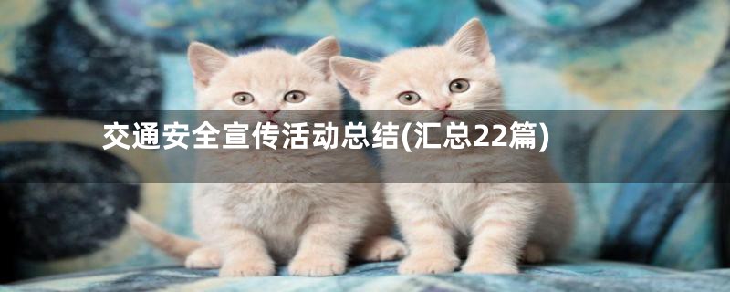 交通安全宣传活动总结(汇总22篇)