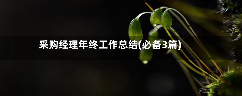 采购经理年终工作总结(必备3篇)