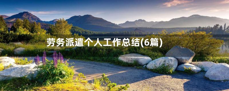 劳务派遣个人工作总结(6篇)