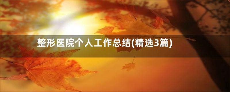 整形医院个人工作总结(精选3篇)