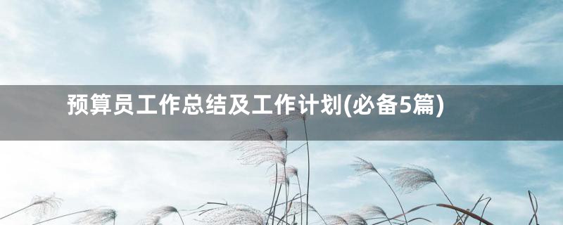 预算员工作总结及工作计划(必备5篇)