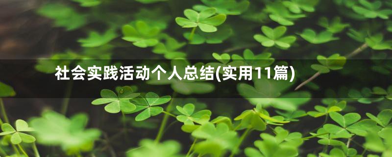 社会实践活动个人总结(实用11篇)