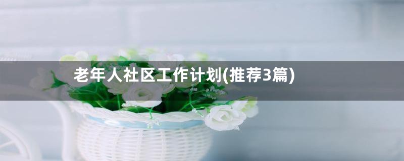 老年人社区工作计划(推荐3篇)