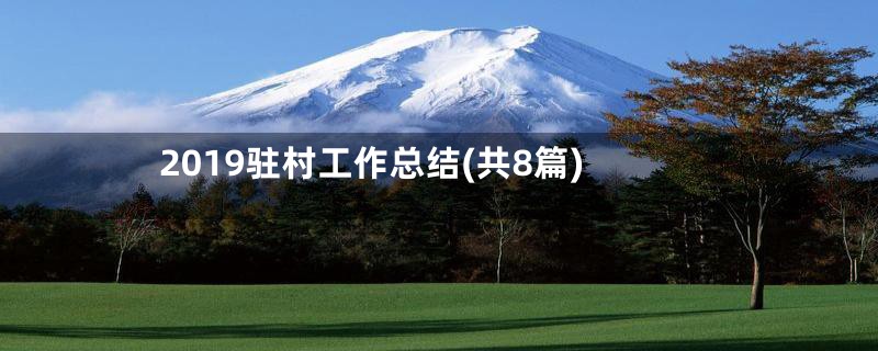 2019驻村工作总结(共8篇)