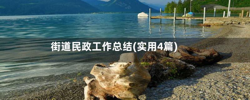 街道民政工作总结(实用4篇)