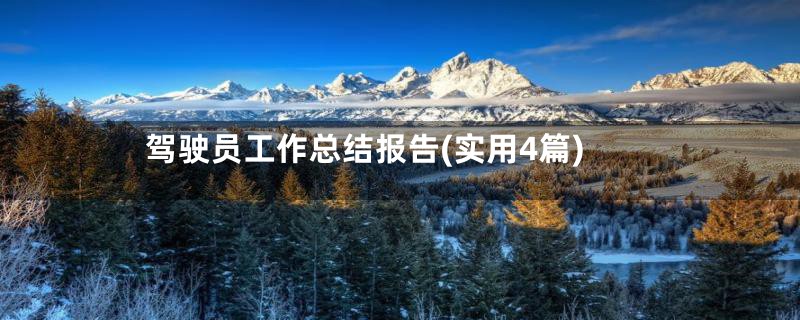 驾驶员工作总结报告(实用4篇)