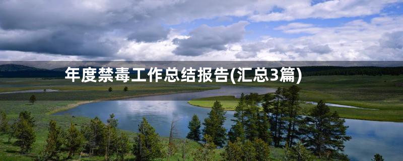 年度禁毒工作总结报告(汇总3篇)