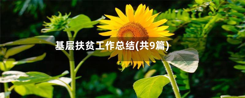 基层扶贫工作总结(共9篇)