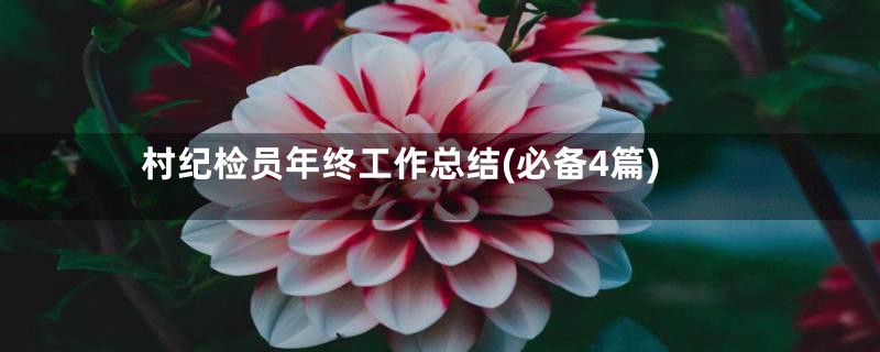 村纪检员年终工作总结(必备4篇)