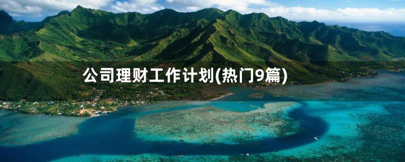 公司理财工作计划(热门9篇)