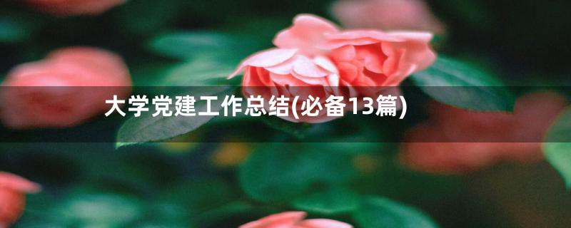 大学党建工作总结(必备13篇)