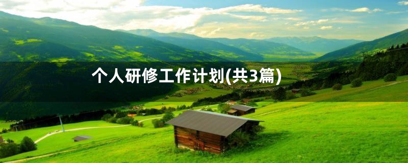 个人研修工作计划(共3篇)