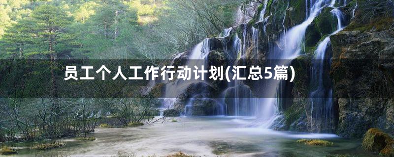 员工个人工作行动计划(汇总5篇)