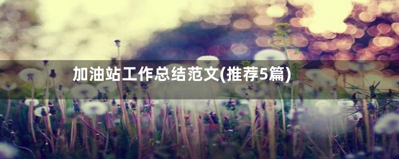 加油站工作总结范文(推荐5篇)