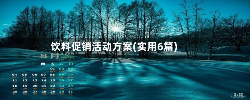 饮料促销活动方案(实用6篇)