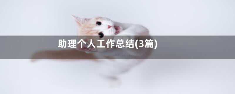 助理个人工作总结(3篇)