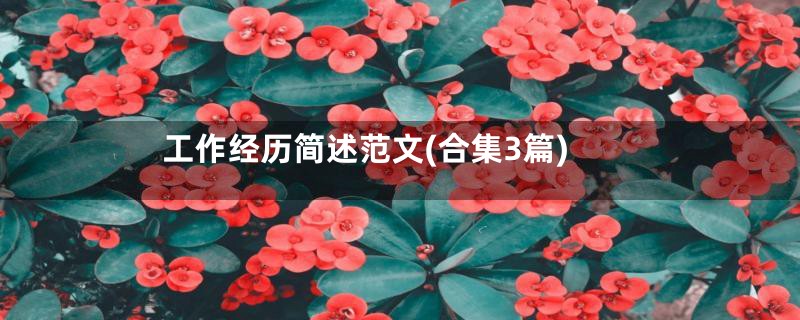 工作经历简述范文(合集3篇)