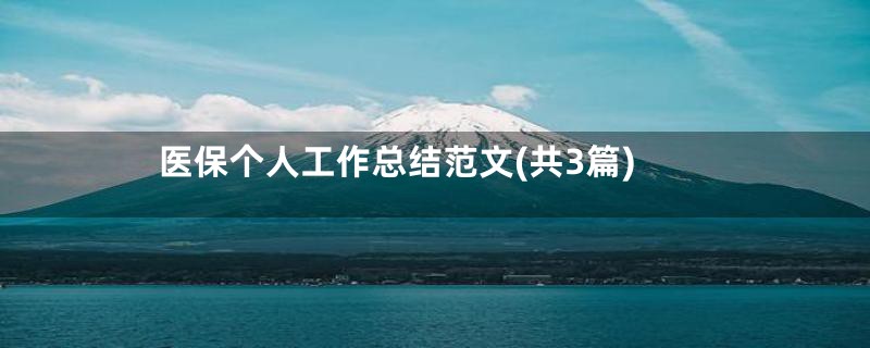 医保个人工作总结范文(共3篇)