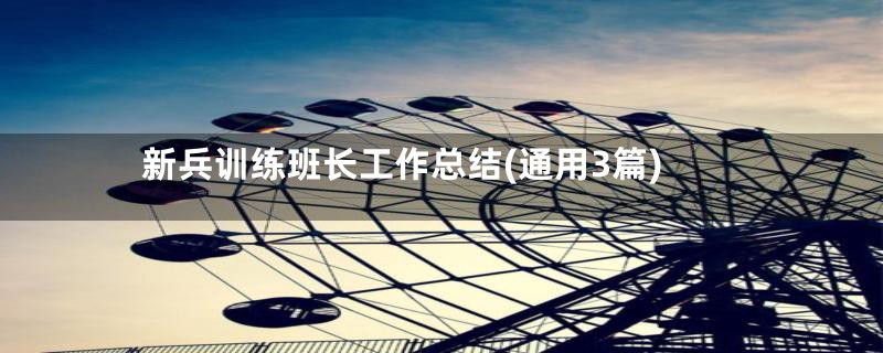 新兵训练班长工作总结(通用3篇)