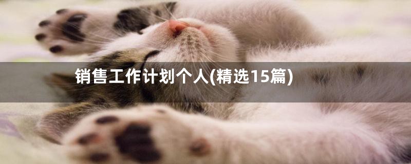 销售工作计划个人(精选15篇)