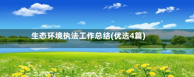 生态环境执法工作总结(优选4篇)